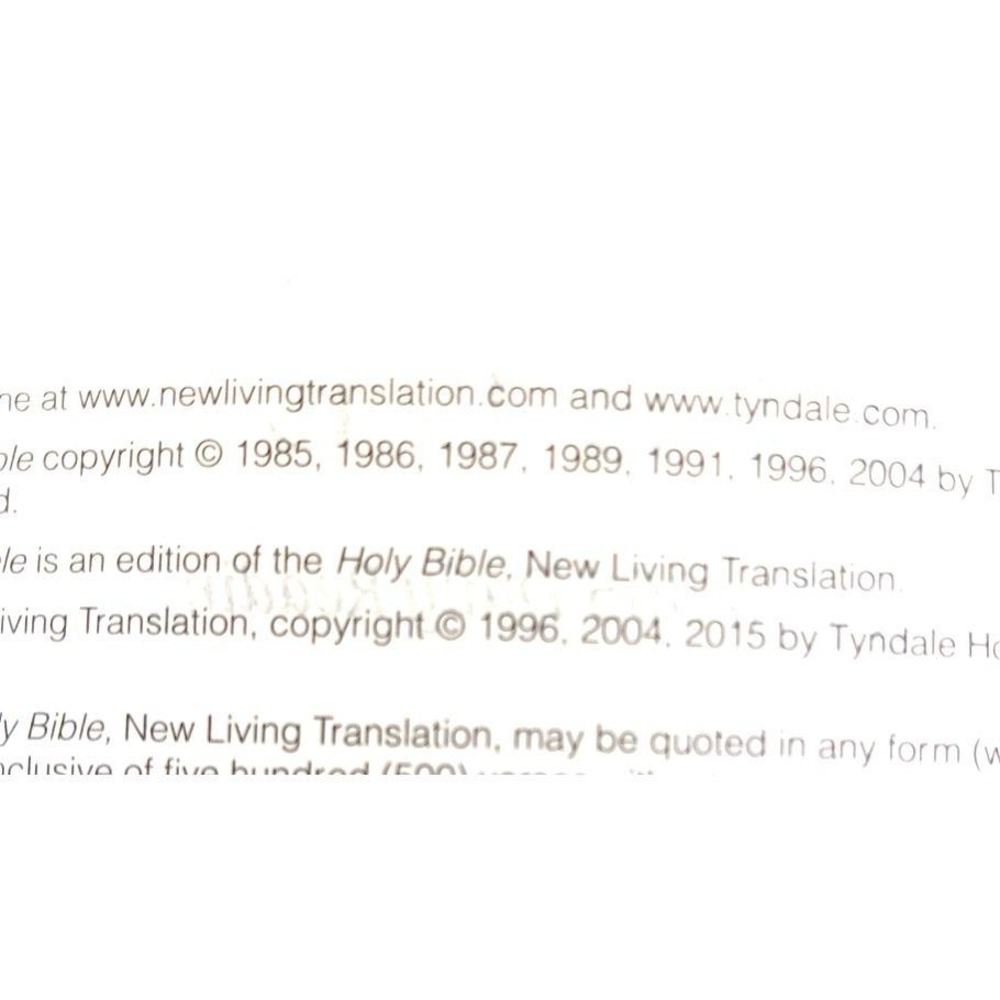 The One Year Study Bible NLT 2004 Paperback – Tyndale House – Daily Reading Plan - Picture 4 of 12